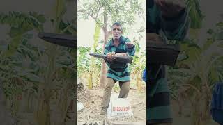 Poda poda sollikoduthuvittale shortsfeed Comedy trend vlog youtubechannel [upl. by Lesirg]