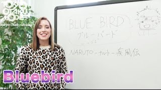 【Diana Garnet】Bluebird  Naruto【Anisong Acapella】 [upl. by Ees]