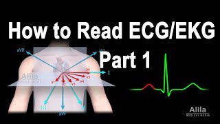 How to Read ECGEKG Part 1 Animation [upl. by Oiramed]