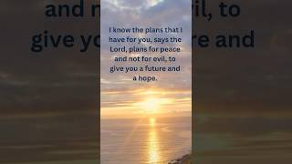 Jeremiah 2911  Gods Promise For Hope And A Future jeremiah2911 bibleverse bibleshorts [upl. by Gottfried]