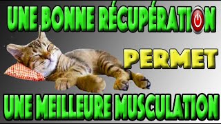 RECUPERATION MUSCULAIRE APRES UNE SEANCE DE MUSCULATION BODY REBOOT [upl. by Nnaillij]