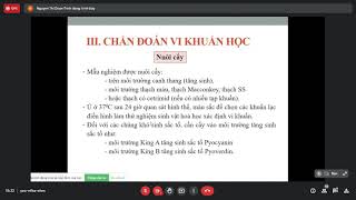 PSEUDOMONAS AERUGINOSA Trực khuẩn mủ xanh  BURKHOLDERIA PSEUDOMALLEI vi sinh  y2 [upl. by Acissev]