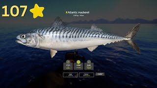 TROPHY ATLANTIC MACKAREL IN NORWEGIAN SEA Russian fishing 4 [upl. by Ahsenek]