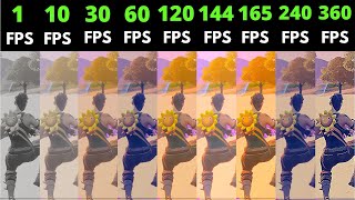 Fortnite 1fps vs 10fps vs 30fps vs 60fps vs 120fps vs 144fps vs 165fps vs 240fps vs 360fps [upl. by Atarman217]