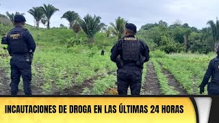 Incautaciones de droga en las últimas 24 horas [upl. by Etoile]