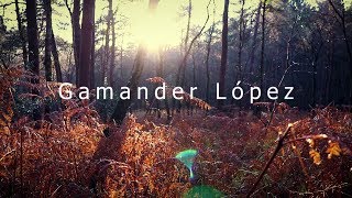 Wildlife Filmmaking Trailer 20172018  Gamander López [upl. by Nylzor485]