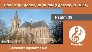 Psalm 39 vers 3 en 8 samenzang met bovenstem  Orgel Dick Slagman  Panfluit Leon Koppelman [upl. by Anissa]