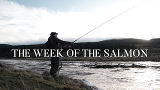 SOLO SALMON FLY FISHING First Salmon caught UNGUIDED in SCOTLAND  Helmsdale Opening Week 2020 [upl. by Llewkcor257]