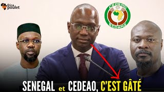 CEDEAO et LE SENEGAL cest terminé LE MINISTRE DE LAGRICULTURE Dr Mabouba Diagne dit la VERITE [upl. by Edana]