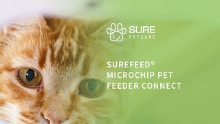 SureFeed® Microchip Pet Feeder Connect [upl. by Tanaka587]