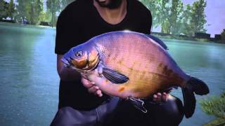 Dovetail Games Euro Fishing  Gameplay Trailer  français  french [upl. by Eseerahs286]