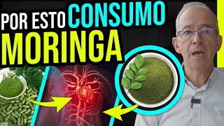 🌱 LA MORINGA El SUPERALIMENTO Del FUTURO  Oswaldo Restrepo RSC [upl. by Lyudmila]