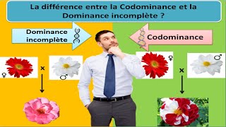 Différence entre la codominance et la dominance incomplète [upl. by Ariom]