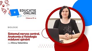 Biologie clasa a XIa Sistemul nervos central Anatomia și fiziologia măduvei spinării [upl. by Nylssej]