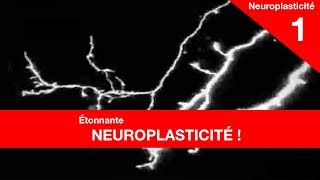 Questce que la neuroplasticité [upl. by Pius]