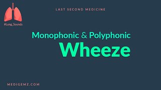 Wheeze  Mono vs Poly Phonic wheeze [upl. by Dambro]