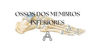 OSSOS DOS MEMBROS INFERIORES  Anatomia Teórica [upl. by Fahy]