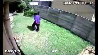 Burglar Escapes Savage Dog Attack Original [upl. by Tterrab]