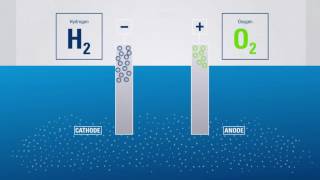 Electrolysis Producing hydrogen from water [upl. by Malina]