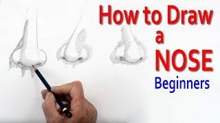 How to Draw a Nose  Beginners [upl. by Branca]