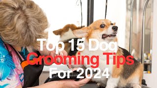 Top 15 Dog Grooming Tips  Master the art of dog grooming with our top tips [upl. by Marozik]