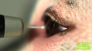 TONOVET tonometer slow motion [upl. by Annazor198]