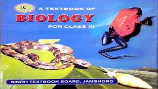 85 LIFE CYCLE OF ASCOMYCOTA  CHAPTER 8KINGDOM FUNGI  FIRST YEAR BIOLOGY [upl. by Gaskill]