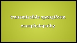 Transmissible spongiform encephalopathy Meaning [upl. by Dolphin]