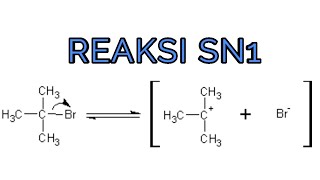 REAKSI SUBSTITUSI NUKLEOFILIK 1 SN1 [upl. by Laikeze]