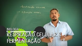 O que é Mitocôndria  Extensivo Biologia  Descomplica [upl. by Svirad487]