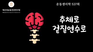 【527회】 추체로 pyramidal tract 겉질연수로 36 교재 p82 태선생 운동생리학 [upl. by Noxin]