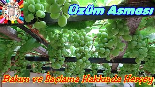 Üzüm Yemek İstiyorsan Bu Videoyu İzle 🍇 [upl. by Norabal922]