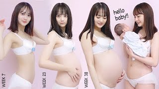 妊娠から出産までのタイムラプス【Pregnancy Transformation Week by Week 】 [upl. by Andre]