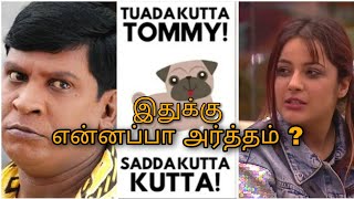 Tuada kutta tommy sada kutta kutta Tamil meaning  Bigg Boss  Moon Light Views [upl. by Baynebridge]