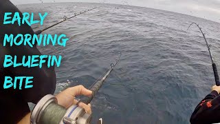 Plunker Bluefin Bite Ft BenjieKimFishing  25 Day Highliner [upl. by Noemi855]