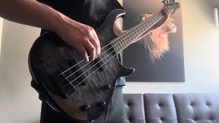 Bulls On Parade  Rage Against the Machine  Bass Cover [upl. by Voletta245]