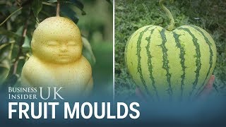 These fruit moulds let you grow your own heartshaped watermelons or Buddhashaped pears [upl. by Hettie]