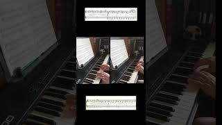 Ravel Pavane from Ma Mère lOye short [upl. by Antonius614]