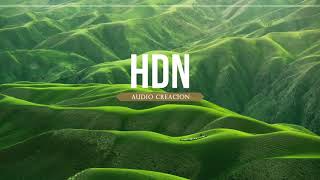 Track jincheng zhang INSTRUMENTAL  No Copyright  HDN audio creación [upl. by Yelmene]