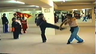 Seminar  GM Dr Chiu Chi Ling  Defense against Kicks  1997 [upl. by Ivanah]