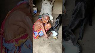 105 year old widow grandma eating Chicken curry Village rural life [upl. by Huberty13]