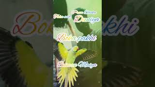 কলিজার ভিতর রাইখা তোরে🦜Boka pakhi 🕊️tiktok trendingshorts youtuber akaakahani status viral🕊️ [upl. by Happy]