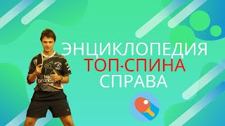 ЭНЦИКЛОПЕДИЯ ТОПСПИНА СПРАВА [upl. by Inej]