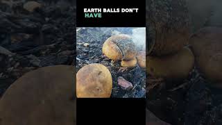 Watch Out for the Earthball Toxic LookAlikes of Puffballs mushrooms [upl. by Aerdnahc]