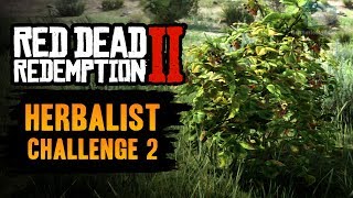 Red Dead Redemption 2  ALL 43 PLANTS amp HERBS LOCATIONS [upl. by Temirf627]