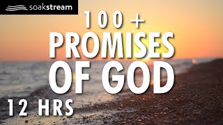 Gods Promises 3  100 Healing Scriptures with Soaking Music  Audio Bible  12 HRS 2020 [upl. by Nira]