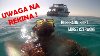 Hurghada Egipt SNURKOWANIE 🤿nurkowanie z rurką SNORKELINGCZY JEST BEZPIECZNIE  ILE KOSZTUJE [upl. by Lossa]