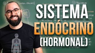 Sistema Endócrino HORMONAL  Aula 32  Módulo 7 Fisiologia Humana [upl. by Jedediah996]