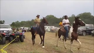 PART 3Trail ride in Delhi Louisiana Rayville Louisiana Monroe Louisiana Tallulah Louisiana [upl. by Phebe]