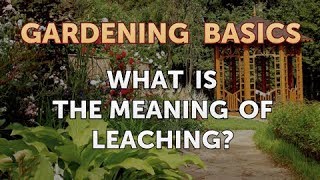 What Is the Meaning of Leaching [upl. by Giuliana]